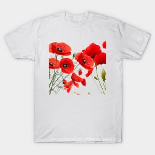 Red Poppy Pops T-Shirt